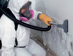 Best Water Damage & Mold Remediation  in Athens, GA